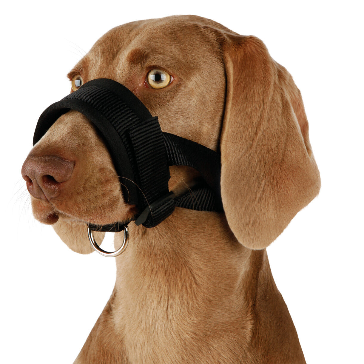 Trixie Nylon Maulkorbgurt