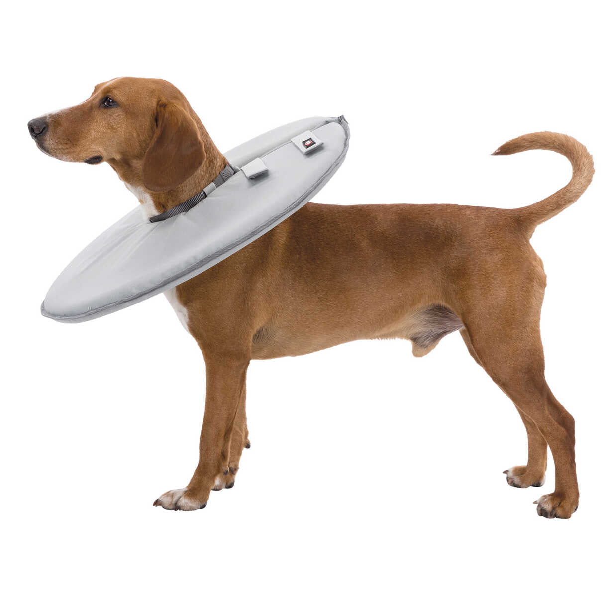 Trixie Schutzhalsband für Hunde aus weichem Material