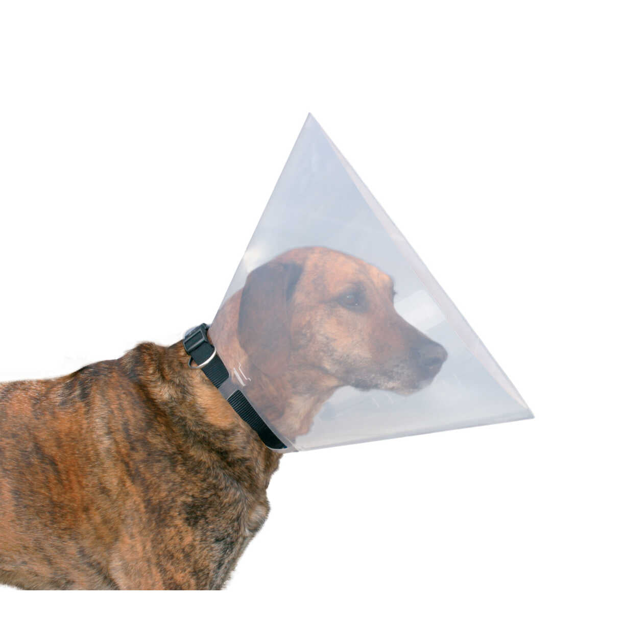 Trixie Kunststoff-Schutzkragen für Hunde