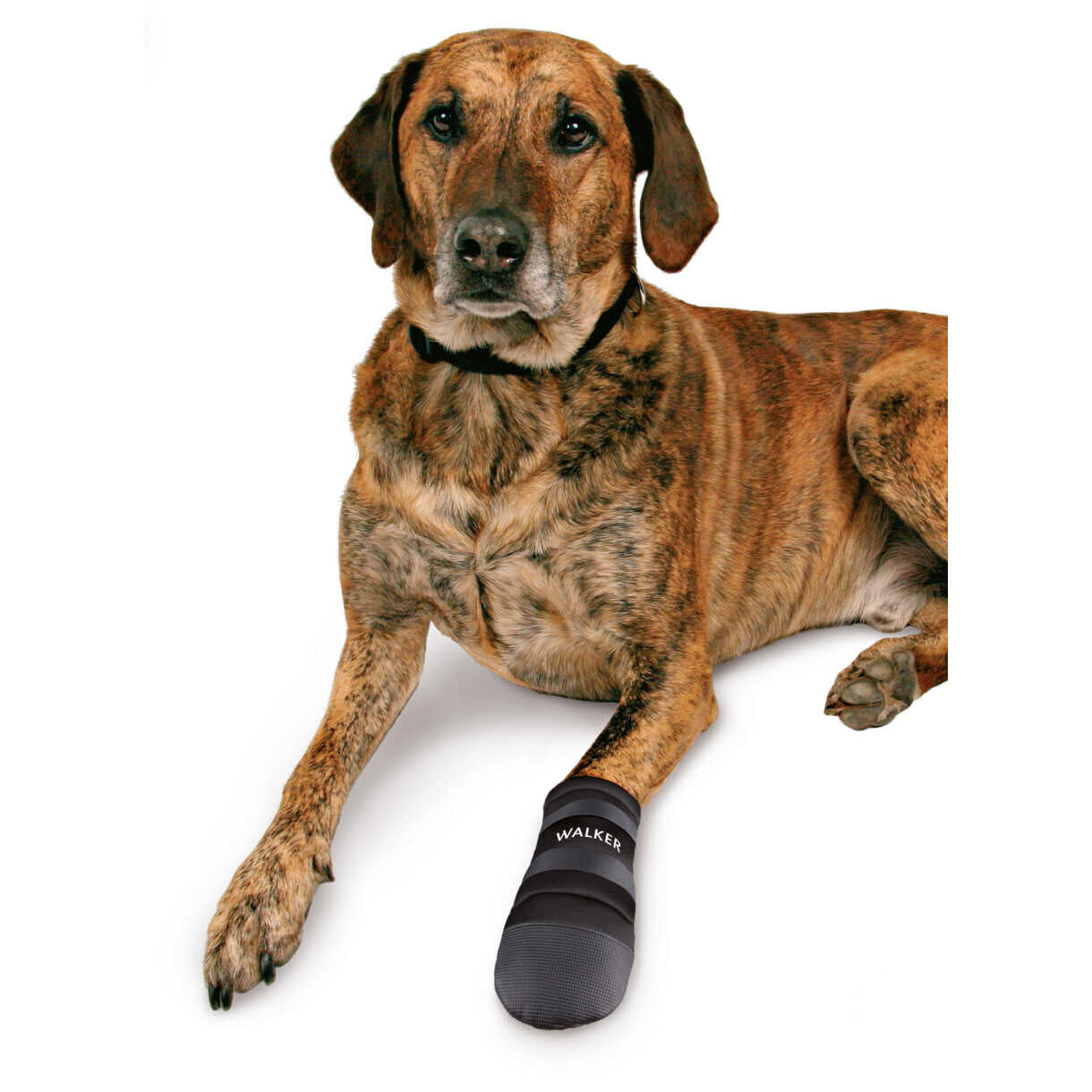 2 Stück Trixie Hundestiefel Walker