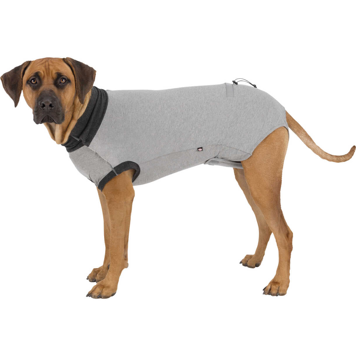 Trixie Schutzanzug für Hunde
