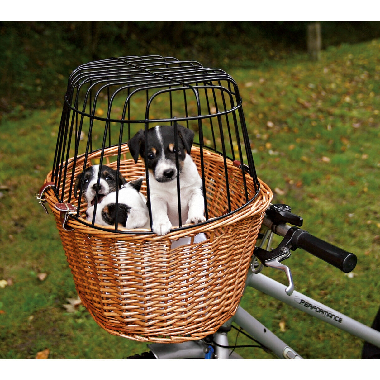 Trixie Fahrradkorb mit Gitter für Hunde bis 5 kg - 44 x 48 x 33 cm