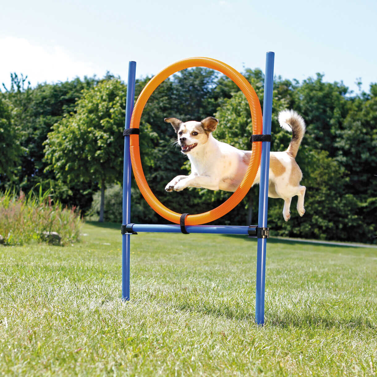 Trixie Hundetraining - Agility Ring ø 65 cm