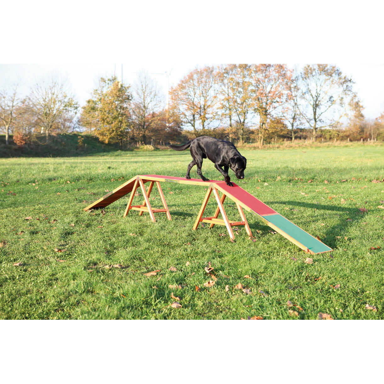 Trixie Hundetraining - Agility-Treppe 456 x 64 x 30 cm