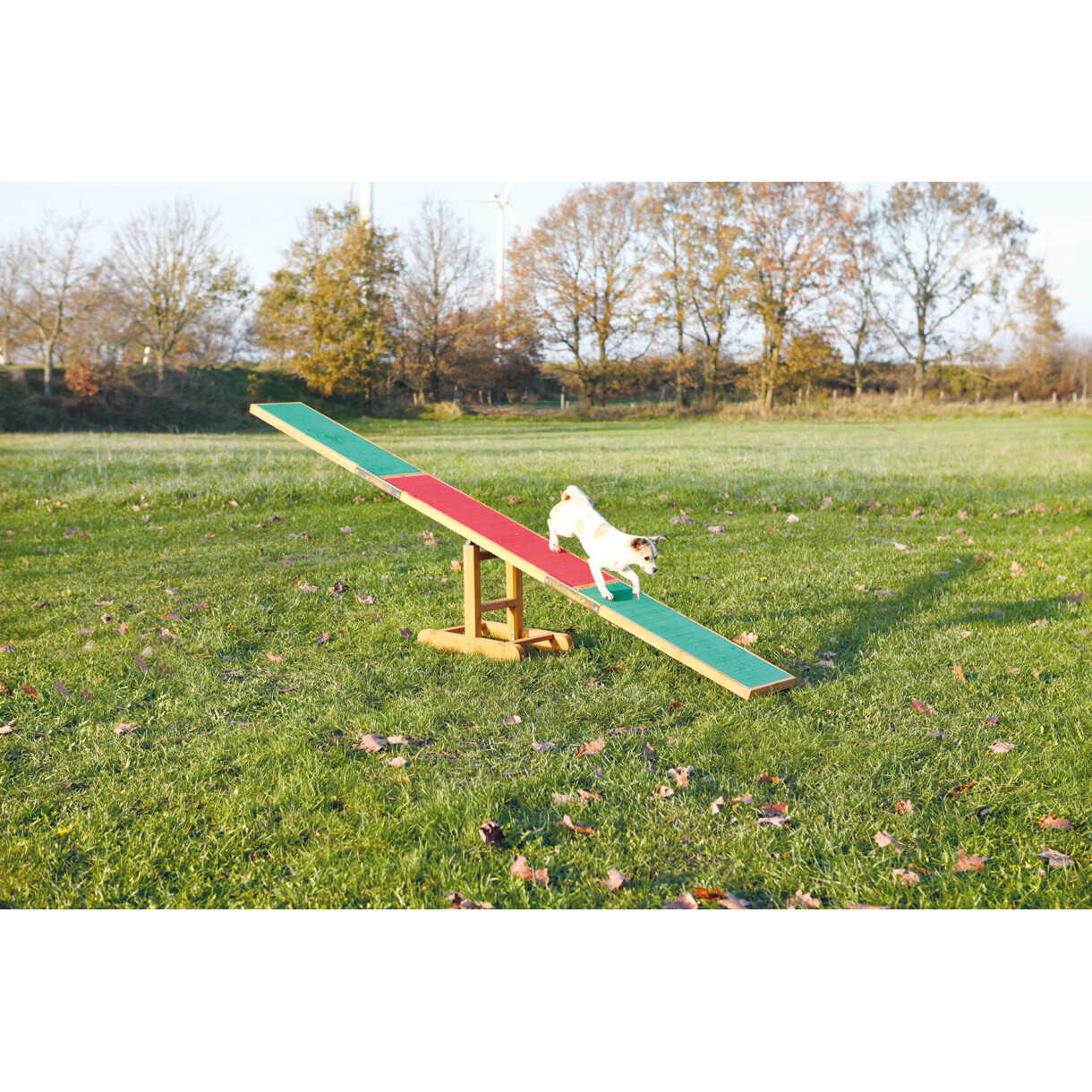 Trixie Dog Training - Agility-Wippe 300 x 34 x 54 cm