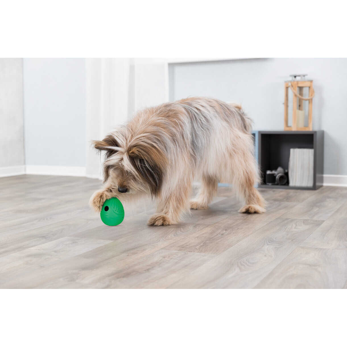 Trixie Dog Activity Toys Snack-Ei aus Naturkautschuk