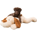 Trixie Benny Plüsch Hundespielzeug - 75 cm beige und braun - MegaPetShop