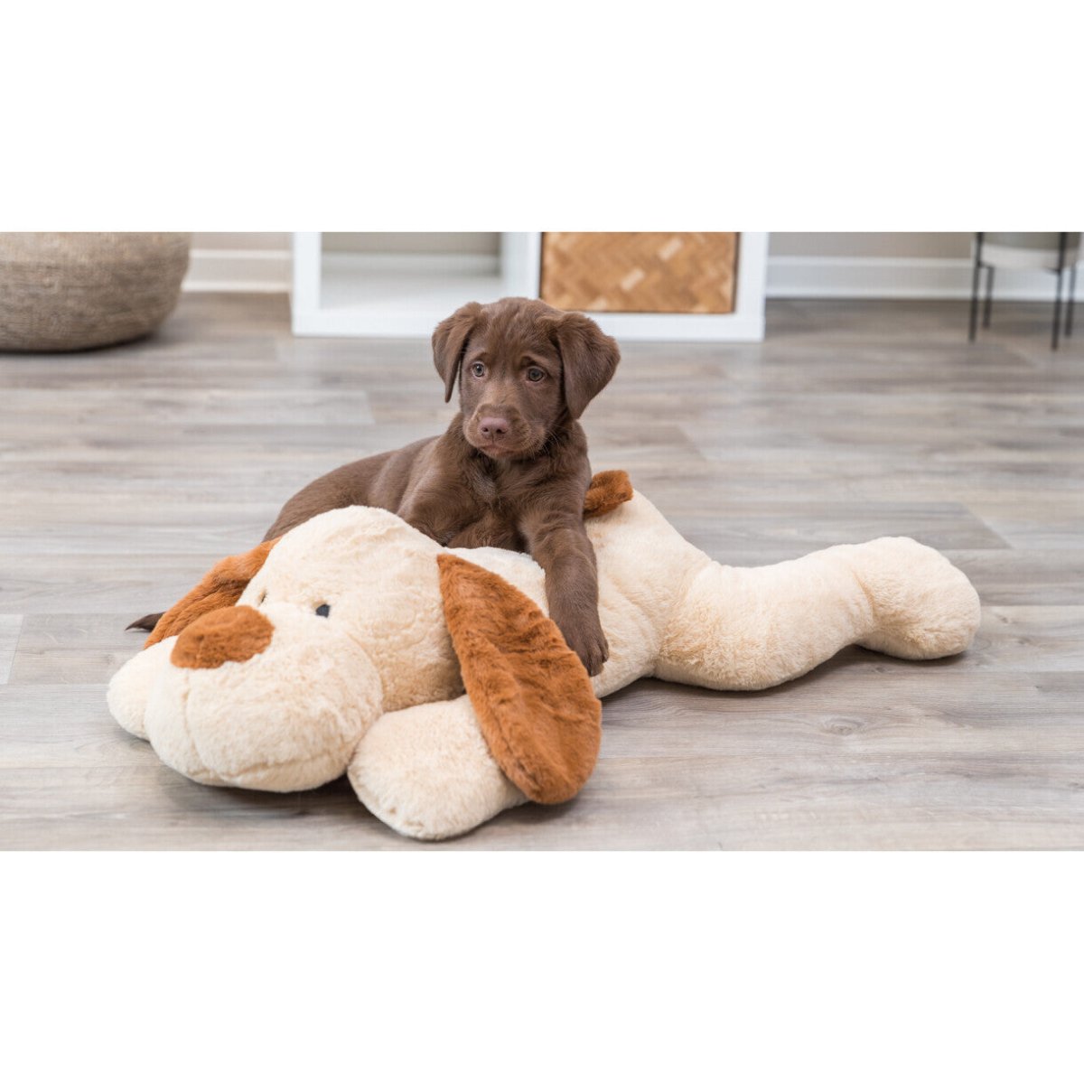 Trixie Benny Plüsch Hundespielzeug - 75 cm beige und braun - MegaPetShop