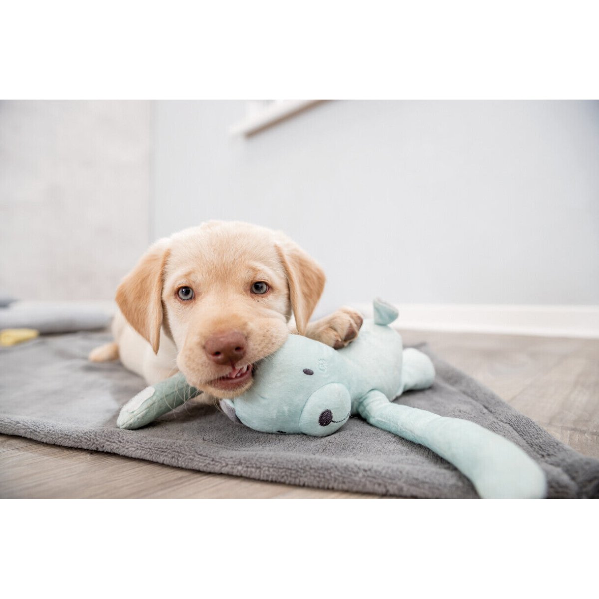 Trixie Junior Kuschelset Hundedecke mit Plüschtieren - MegaPetShop