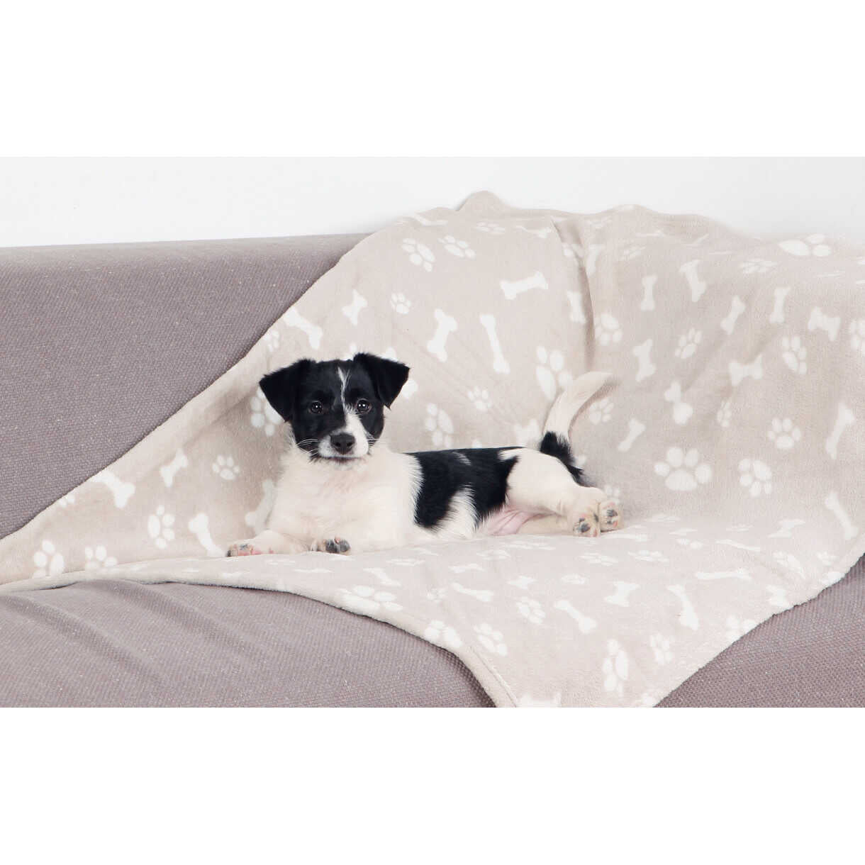 Trixie Hundedecke Kenny Plüsch - Beige