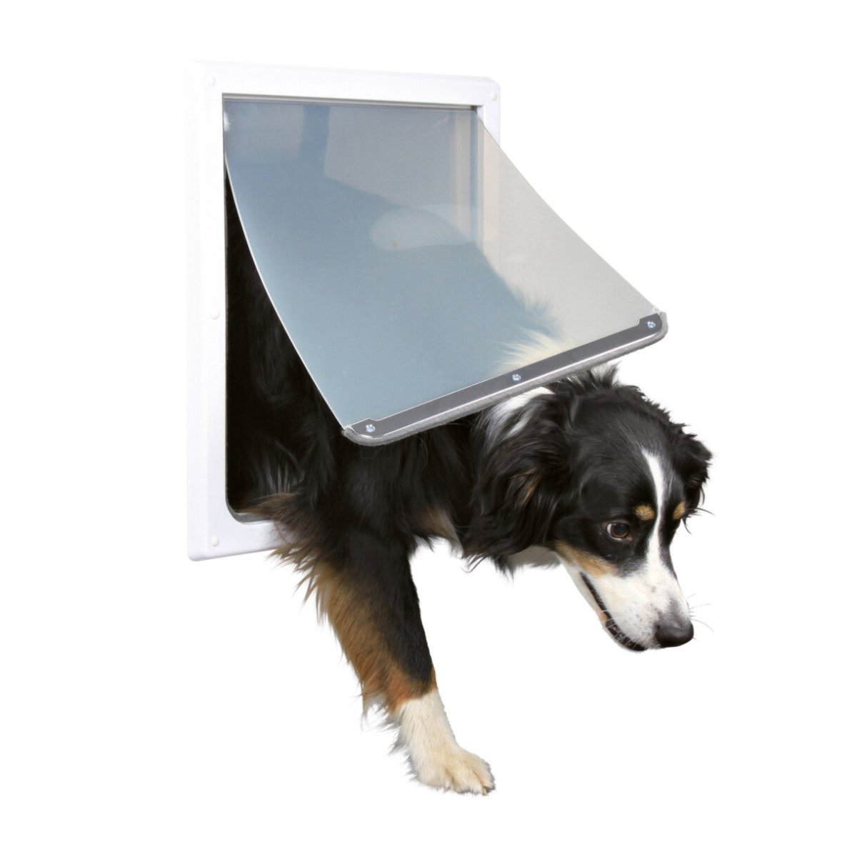 Trixie 2 Wege Hundetür weiß - 39 x 45 cm - MegaPetShop