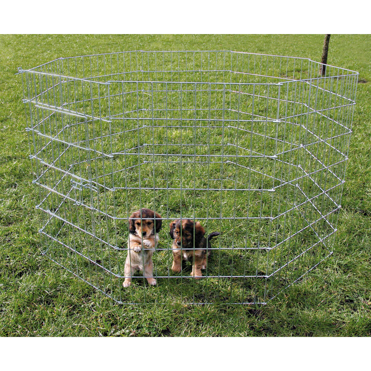 Trixie Welpenlaufstall 8kantig 8 x 61 x 91 cm