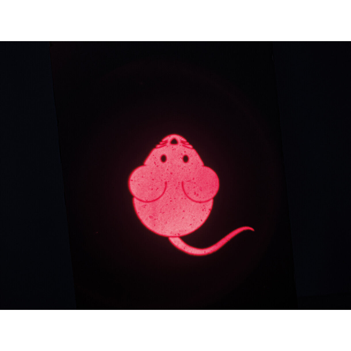Trixie Catch Mouse LED Pointer mit Maus USB Aufladung 8,5 cm