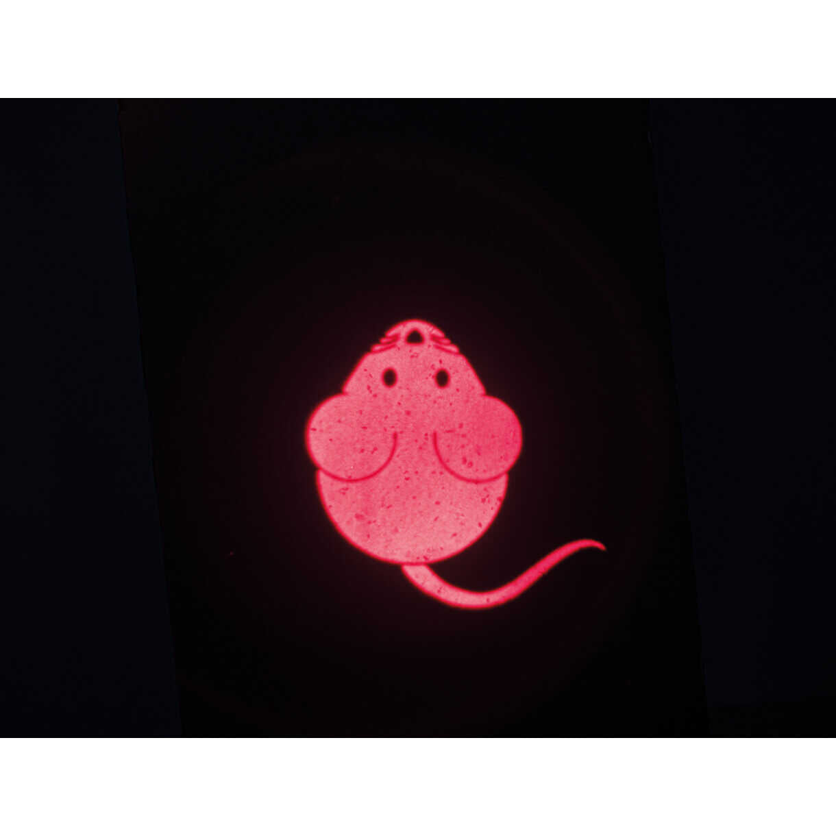 Trixie Catch Mouse LED Pointer mit Maus USB Aufladung 8,5 cm