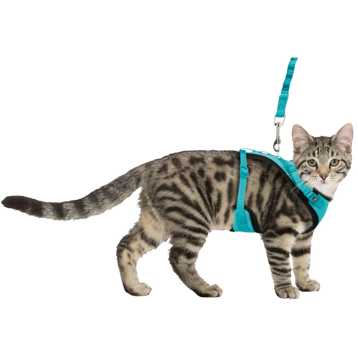 Trixie Katze Y-Geschirr mit elastischer Leine 39 - 60 cm 10 mm 1,00 m diverse Farben sortiert