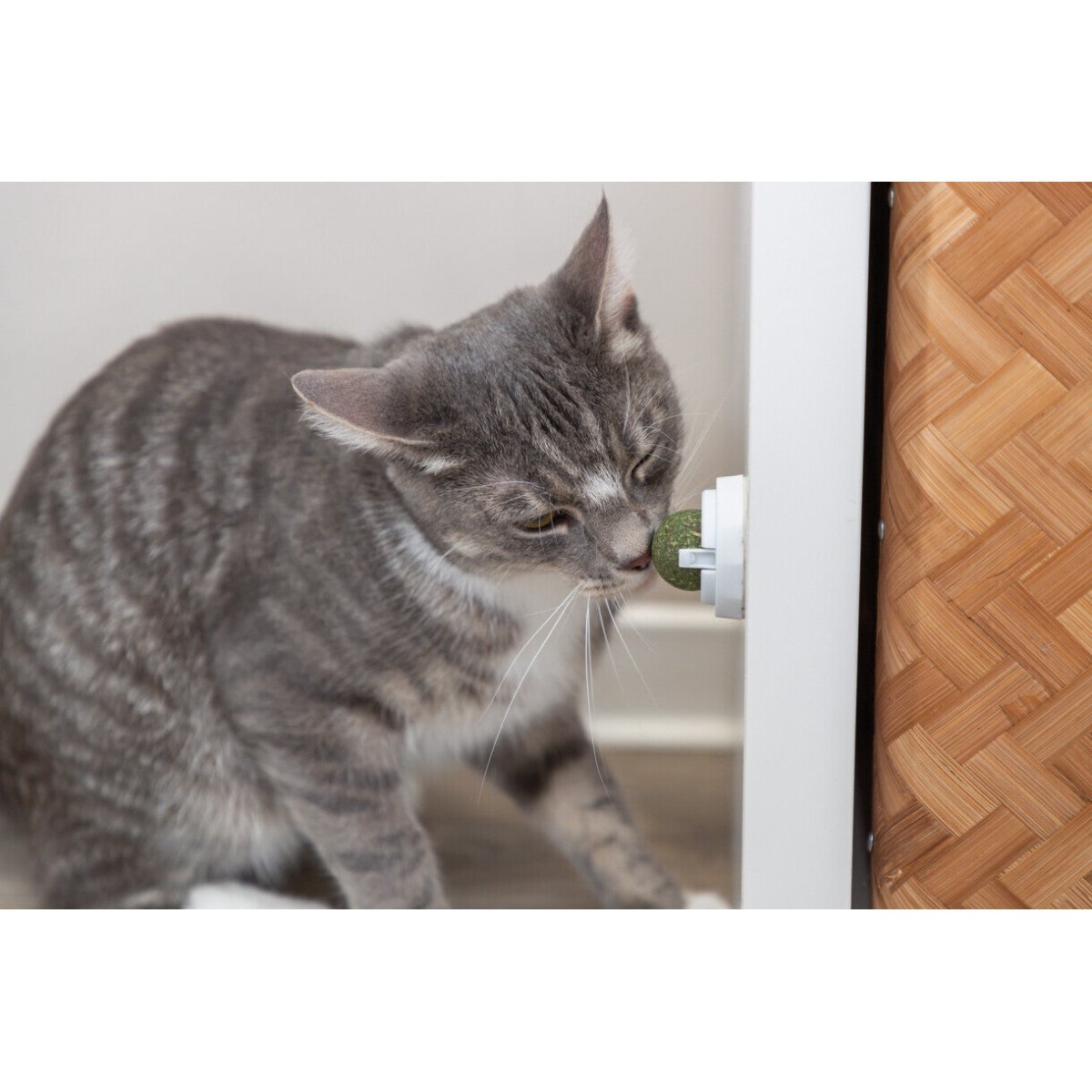 Catnip Ball mit Halter - MegaPetShop