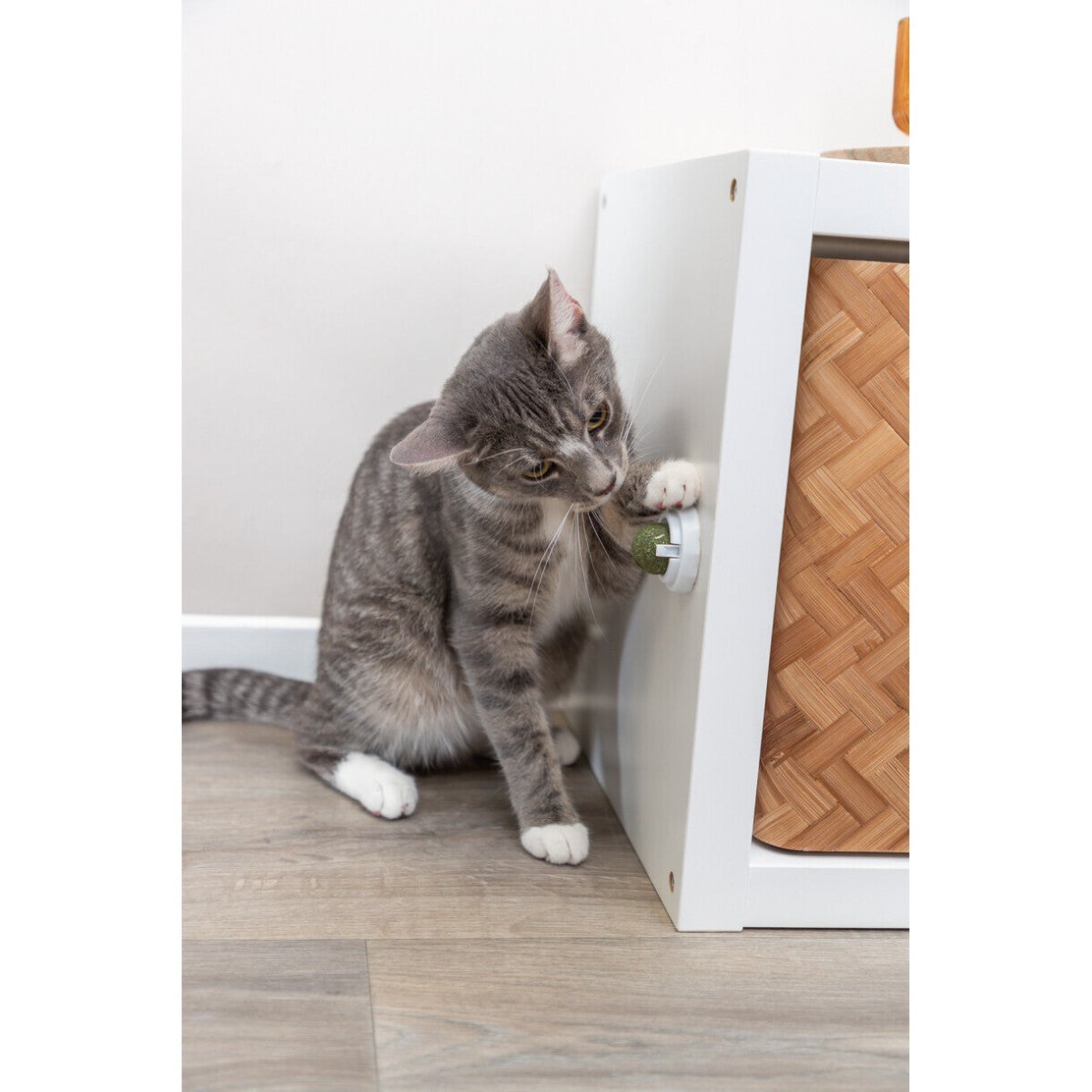 Catnip Ball mit Halter - MegaPetShop