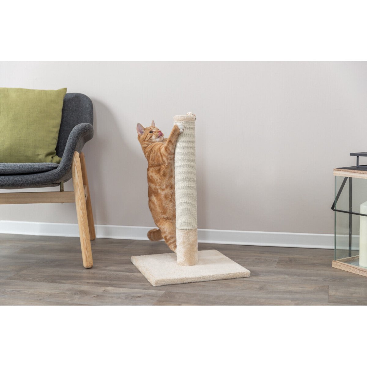 Trixie Katzenkratzbaum 62 cm - beige - MegaPetShop