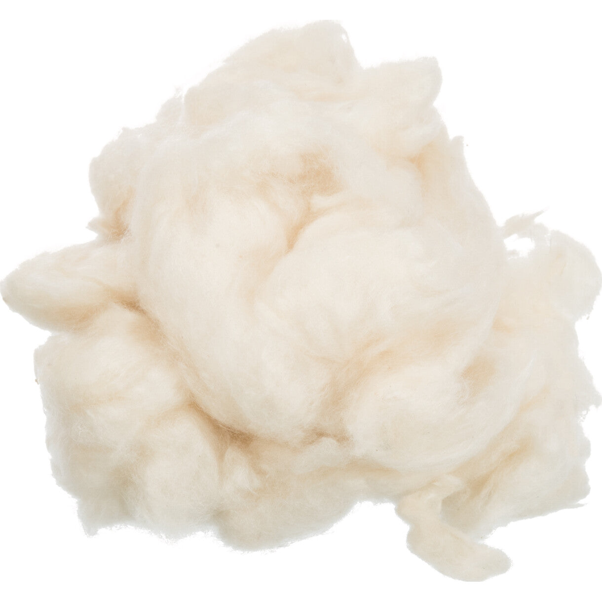 Trixies Gesprächsstoff