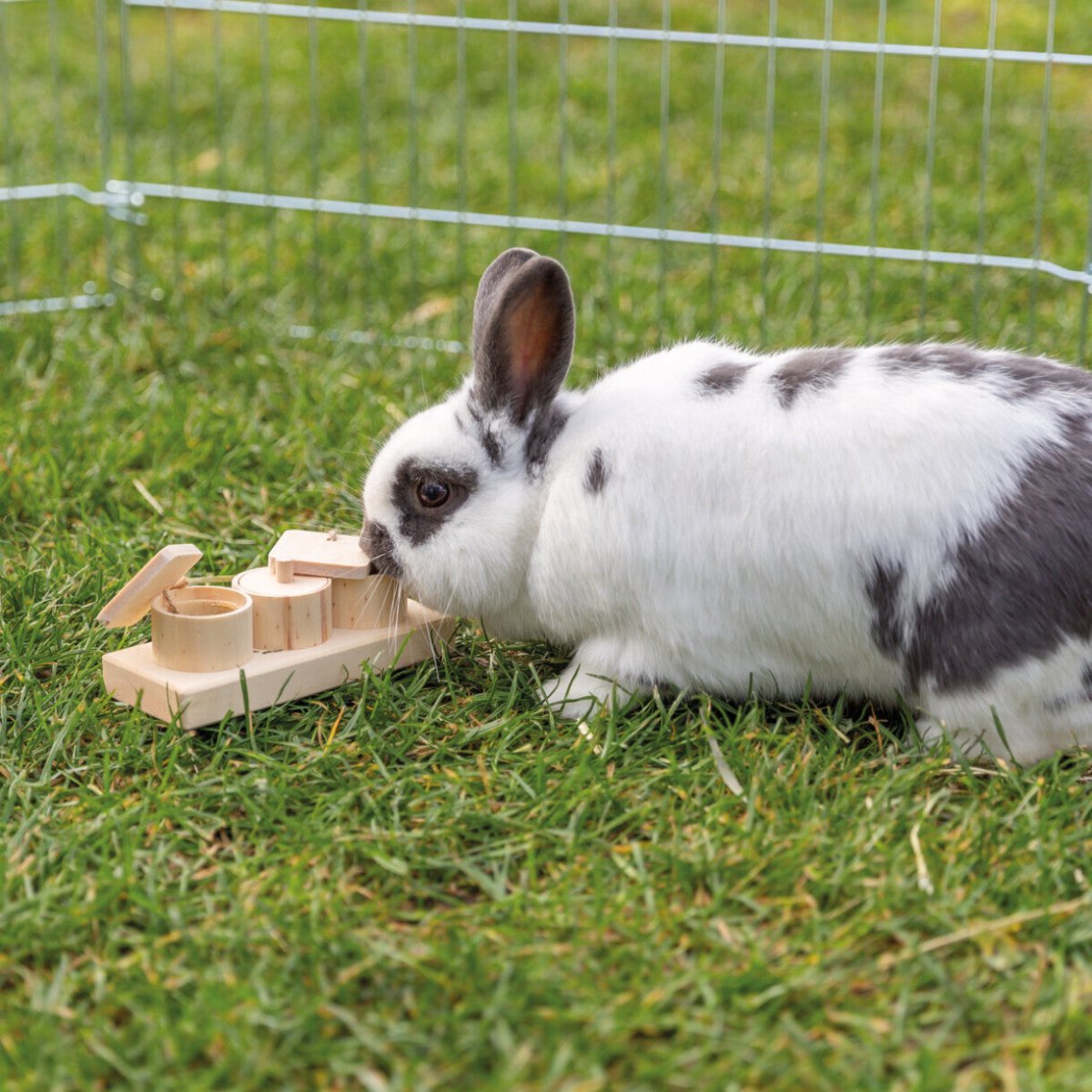 Trixie - Snackbecher - MegaPetShop