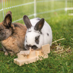 Trixie - Snackbecher - MegaPetShop