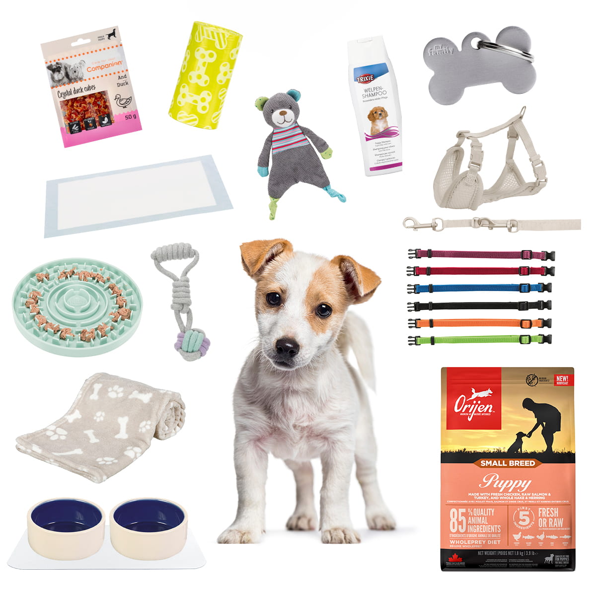 Welpenpaket für kleine und mittelgroße Hunde