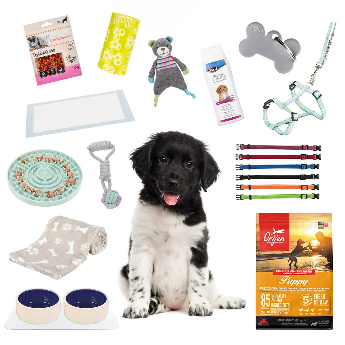 Welpenpaket für mittelgroße und große Hunde
