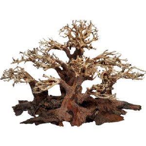 4FISH Bonsai-Baumwurzeln - kleiner Wald - 50 x 25 x 30 cm