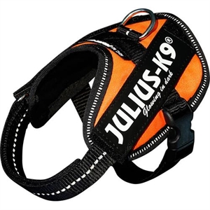 Julius K9 IDC Hundegeschirr Str. Baby 2 - 2XSmall - Brustumfang von 33 bis 45 cm Neon Orange
