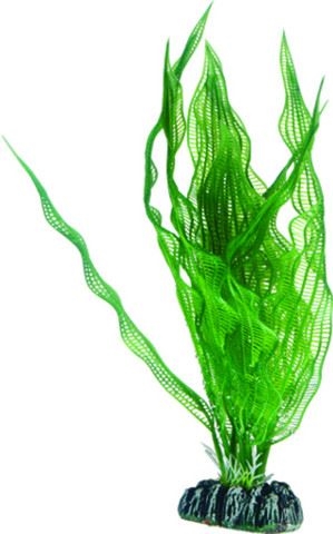 Aquarium Plastikpflanze Aponogeton, 25 cm