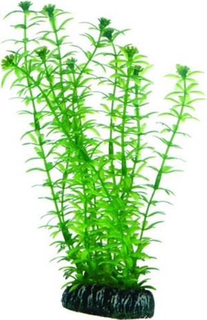 Aquarium Kunststoff Pflanze Lagarosiphon, 20 cm
