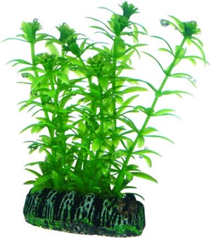 Aquarium Kunststoff Pflanze Lagarosiphon, 7 cm