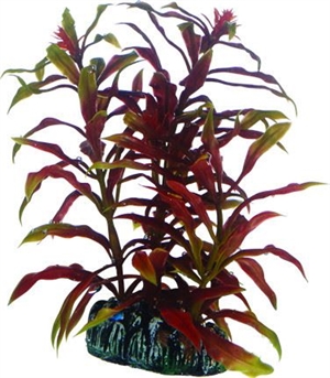 Aquarium Plastikpflanze Nesaea, 13 cm
