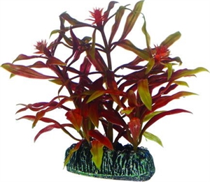 Aquarium Plastikpflanze Nesaea, 7 cm