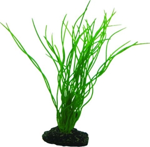 Aquarium Plastikpflanze Sagittaria, 20 cm