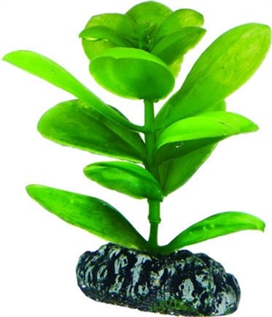 Aquarium Plastikpflanze Saururus, 7 cm