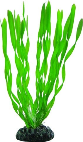 Aquarium Plastikpflanze Vallisneria 20 cm