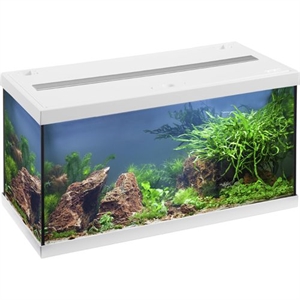 Eheim Aquarium Aquastar 54 Liter mit LED-Beleuchtung weiß - Starterset 61 x 31 x 32 cm