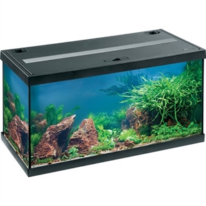 Eheim Aquarium Aquastar 54 Liter mit LED-Beleuchtung schwarz - Starterset 61 x 31 x 32 cm
