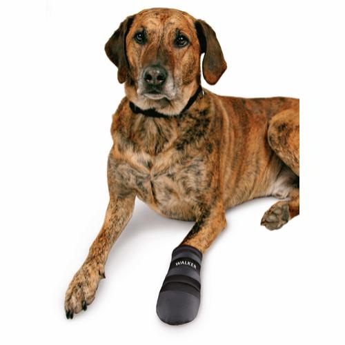 Hundeschuhe und Fußschutz
