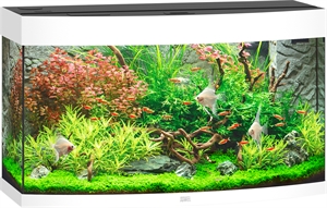 Juwel Aquarium Vision 180 Liter LED weiß 92 x 41 x 55 cm