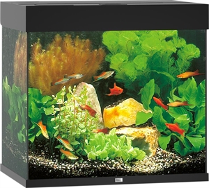 Juwel Aquarium Lido 120 Liter mit LED-Licht schwarz 61 x 41 x 58 cm