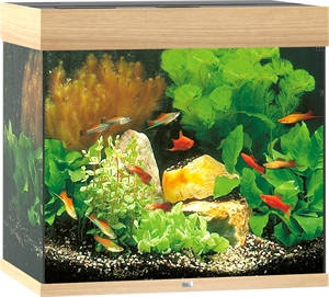 Juwel Aquarium Lido 120 Liter mit LED Licht - helles Holz 61 x 41 x 58 cm