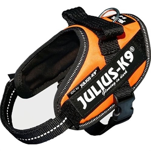 Julius K9 IDC Hundegeschirr - Brustumfang von 40 bis 53 cm Neon Orange