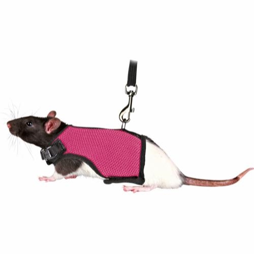 Mäuse- und Rattengeschirre und Lanyards