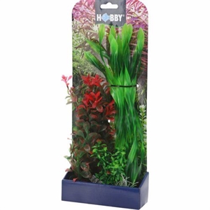 Aquarium Pflanzen Set 2