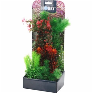 Aquarium Pflanzen Set 3
