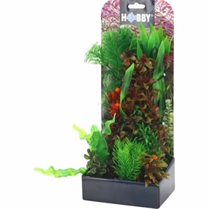 Aquarium Pflanzen Set 6