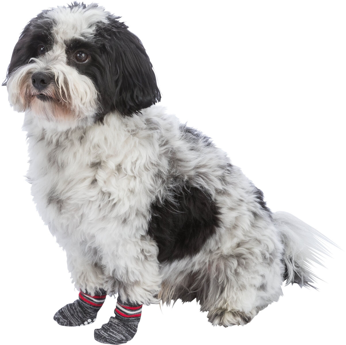 Socken und Schutzanzüge für Hunde