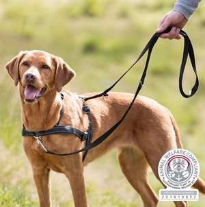 Trixie Lead\'n\'Walk Trainingsgurt für die bessere Führung von Hunden
